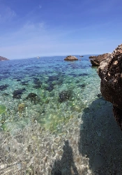Beach and Sea